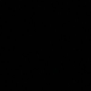 Meet your Posher, Lilly